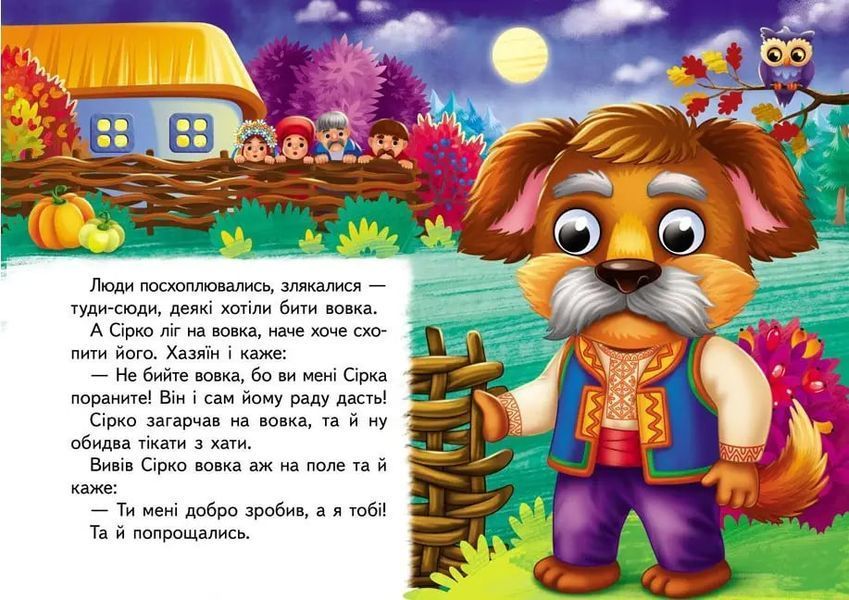 Цікаві книжки з оченятами  &laquo;Сірко&raquo;   2579 фото