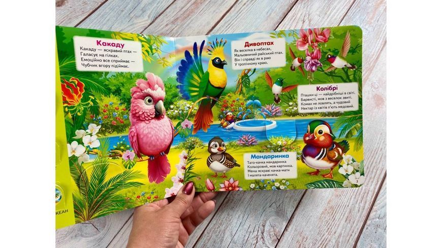 Книжка з віконцями &laquo;Хто це? Дивовижні тварини&raquo; &mdash; 55 віконець 2412 фото