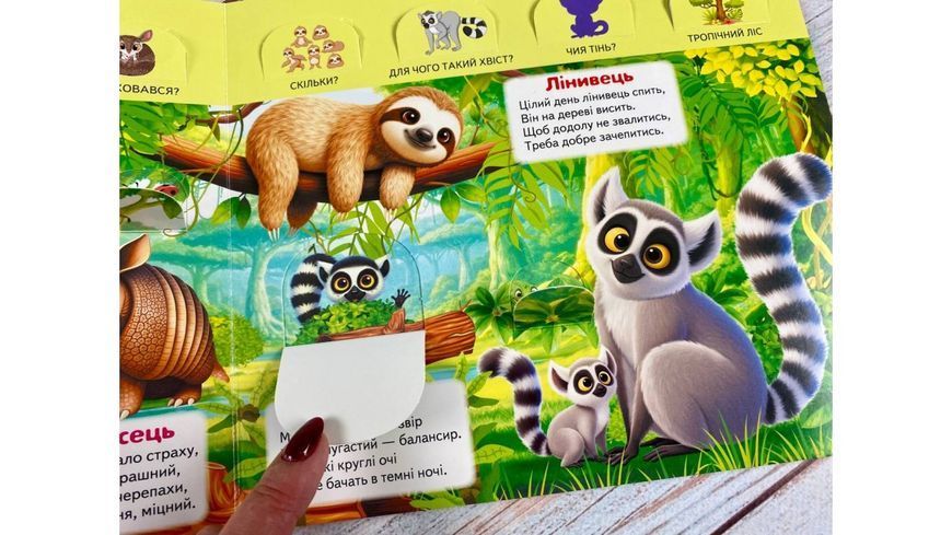 Книжка з віконцями &laquo;Хто це? Дивовижні тварини&raquo; &mdash; 55 віконець 2412 фото