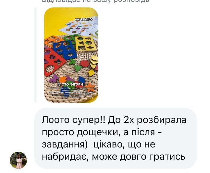 Лото колір форма. Сортер, картки 8 фото
