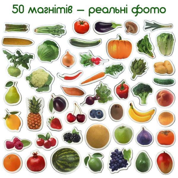 Набір магнітів Magdum "Фрукти та овочі" (ML4031-15EN) 1643 фото