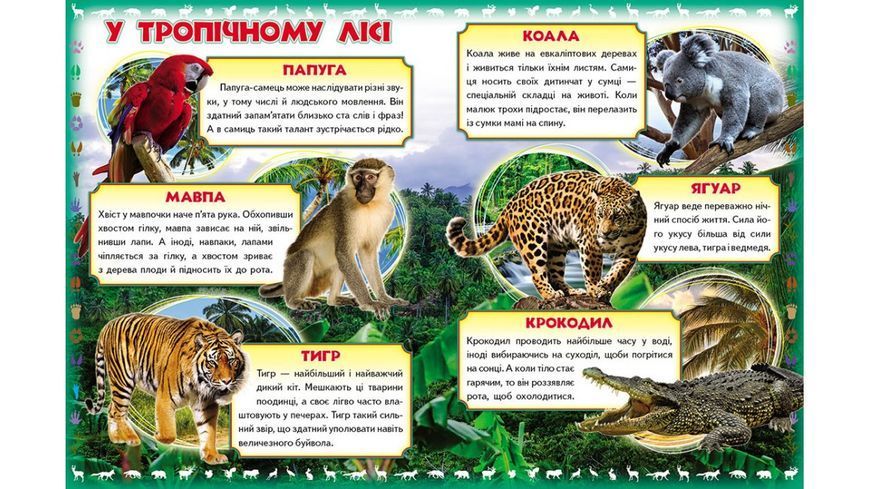 Про диких тварин. Моя перша книга 2140 фото