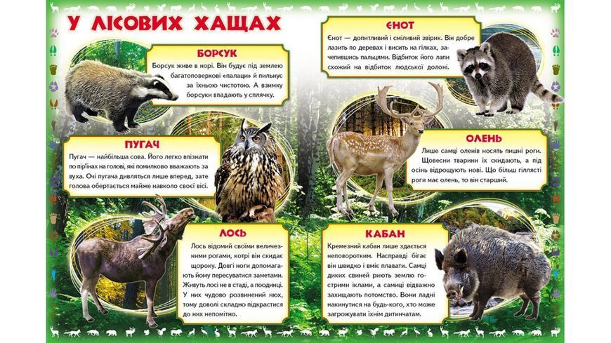 Про диких тварин. Моя перша книга 2140 фото