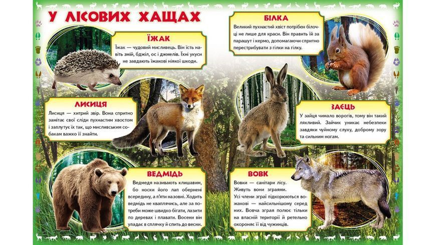Про диких тварин. Моя перша книга 2140 фото