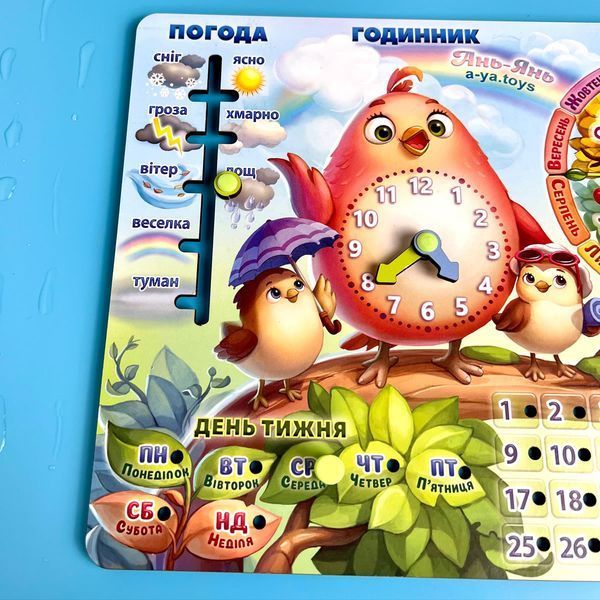 Календар Пташка.  98 фото